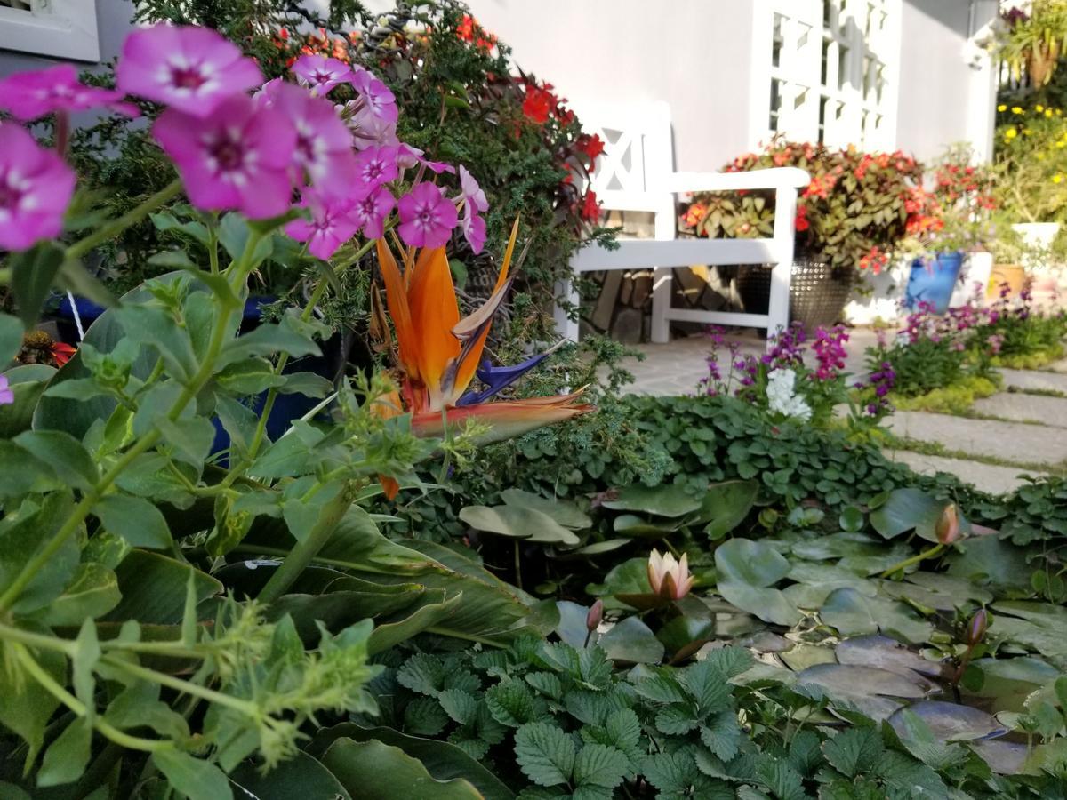 شقة Ribe'S House دالات المظهر الخارجي الصورة