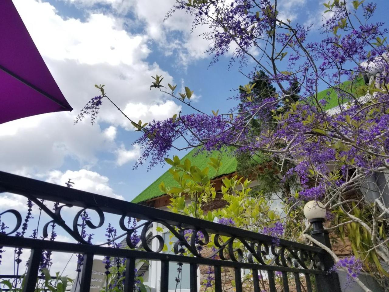 شقة Ribe'S House دالات المظهر الخارجي الصورة