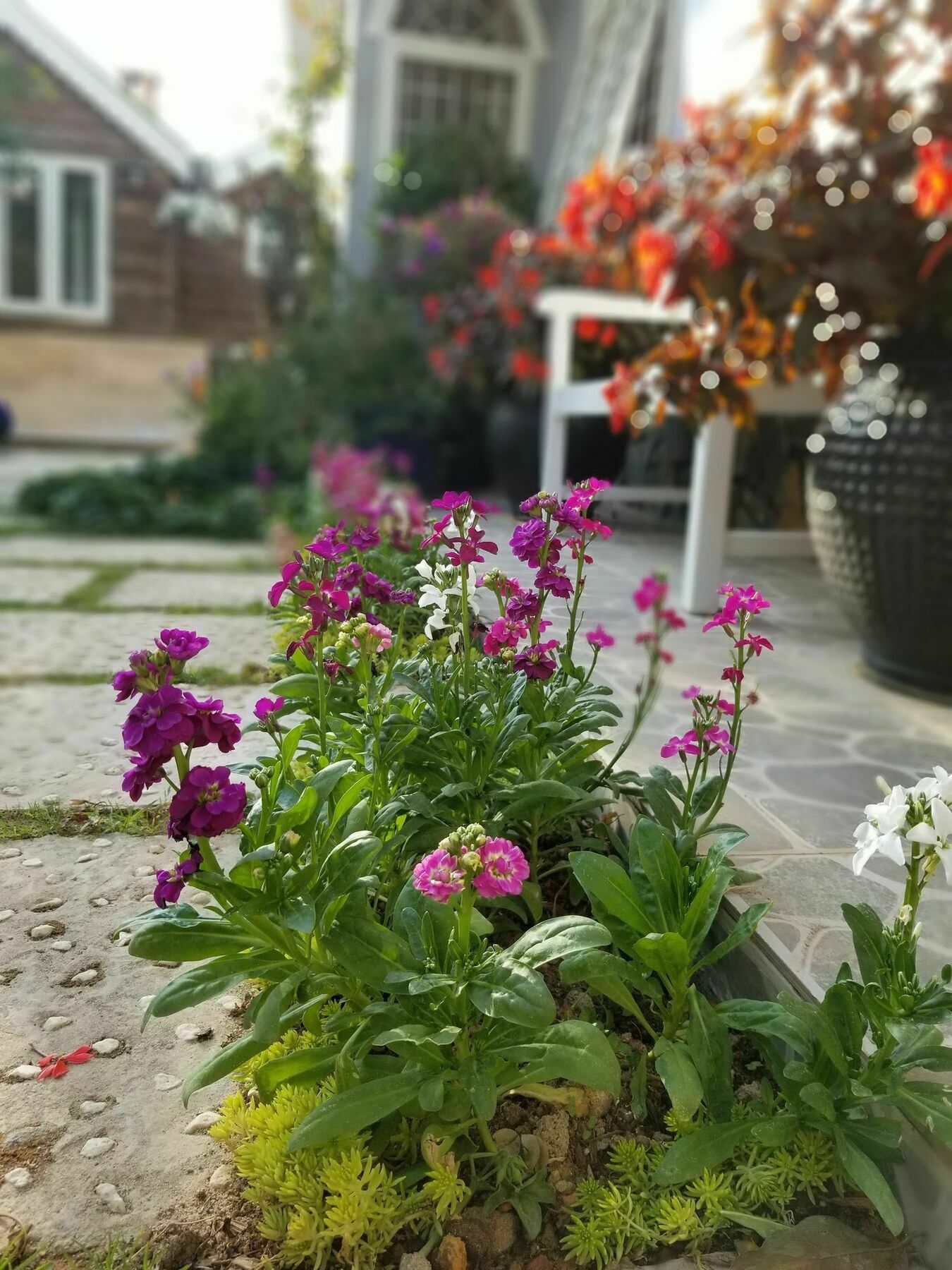 شقة Ribe'S House دالات المظهر الخارجي الصورة
