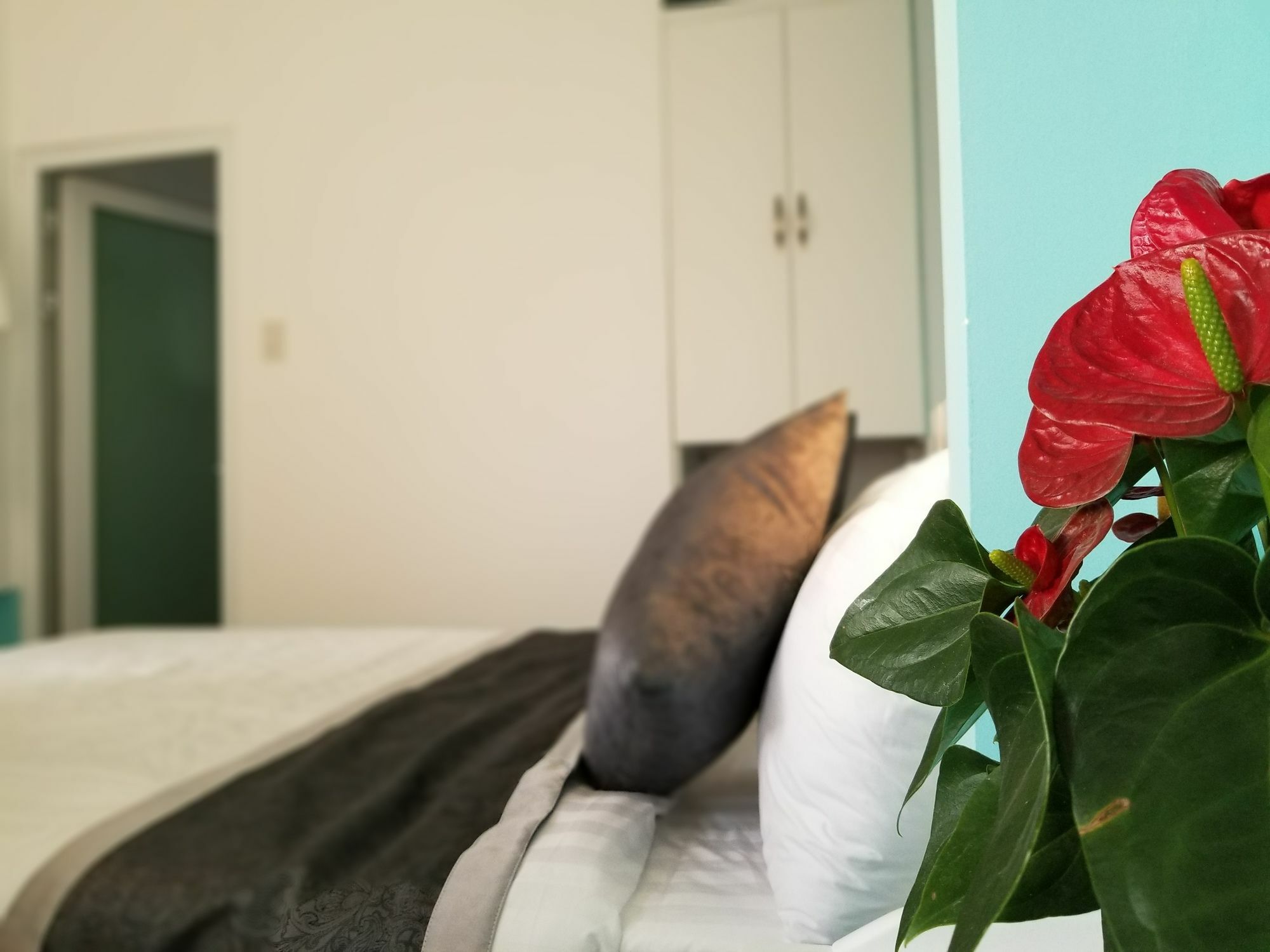 شقة Ribe'S House دالات المظهر الخارجي الصورة