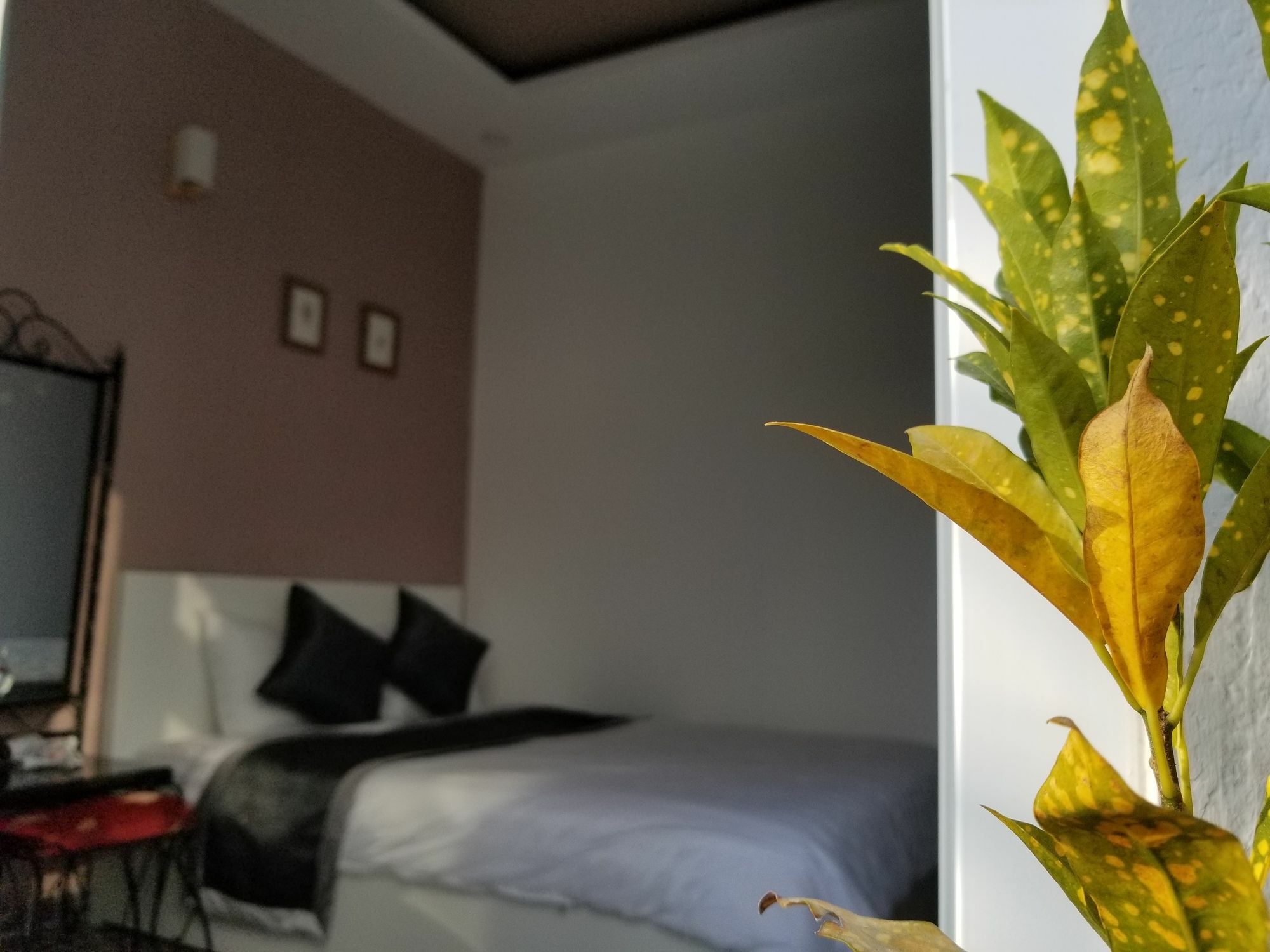 شقة Ribe'S House دالات المظهر الخارجي الصورة